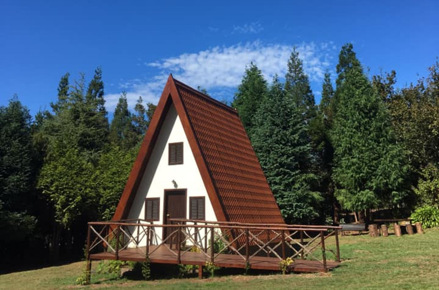 Campo de educação.jpg